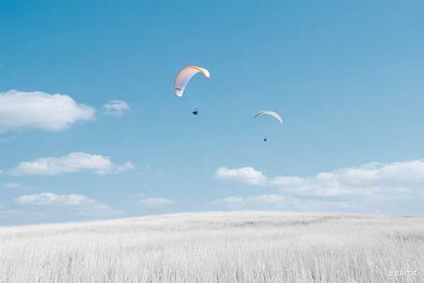 好听的店铺名字唯美(好听的评价)