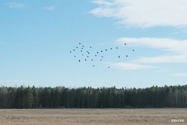 给姓张的男孩子取什么名(张姓男宝宝取名字)