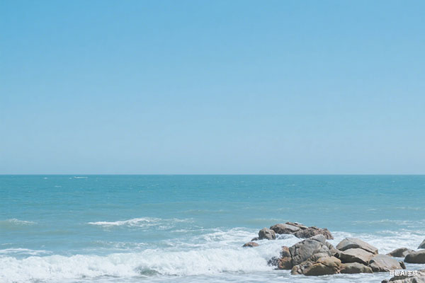 好听的动物名字做昵称(最全的好听洋气的宠物名字大全)